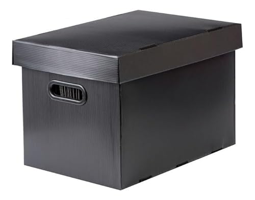 Polycart 4313, Caixa Organizadora com 10 Pastas Suspensas. Xadrez, Multicor