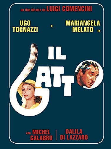  Il gatto