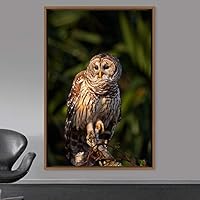 Framed Canvas Wall Art Owl Birds Dramatic Farmhouse/Country Home Office Multicolor Owl Photography - 16x24 inches
