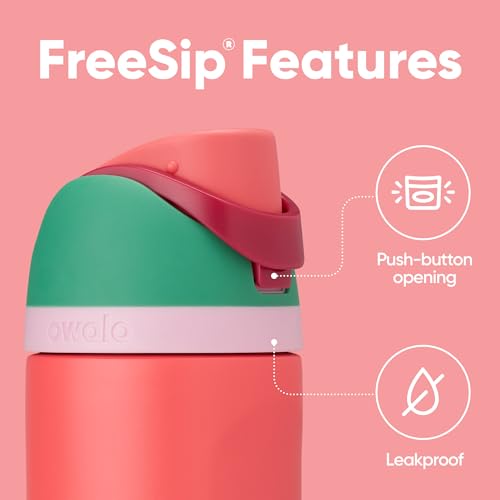 Image of Owala FreeSip Insulated Stainless Steel Water Bottle with Straw for Sports, Travel, and School BPA-Free Sports Water Bottle, 24 oz, Strawberry Fields