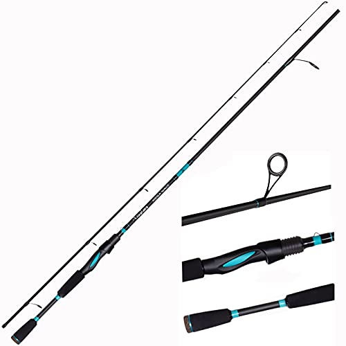 Top 9 Best Casting Rods Under 200 (Incl. Affordable Models!)
