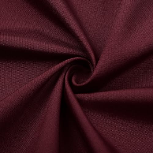 JerrisApparel Women Renaissance Lace Up Dress Medieval Gown Vintage Halloween Costume (M, Burgundy) by JerrisApparel - Used condition - US$21.49