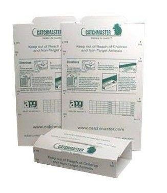 Unscented Glue Boards for Mouse & Insect (1 case of 72 Glue Boards)