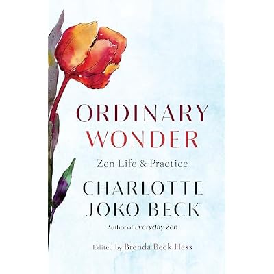 Ordinary Wonder