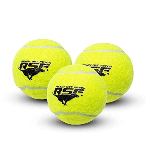 Franklin Pet Supply Squeaky - Ready Set Fetch Dog Toy Tennis Balls with Squeaker - Perfect Pet Toy for Small, Medium + Large Dogs - 3 Pack #1