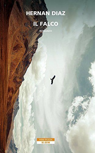  Il falco