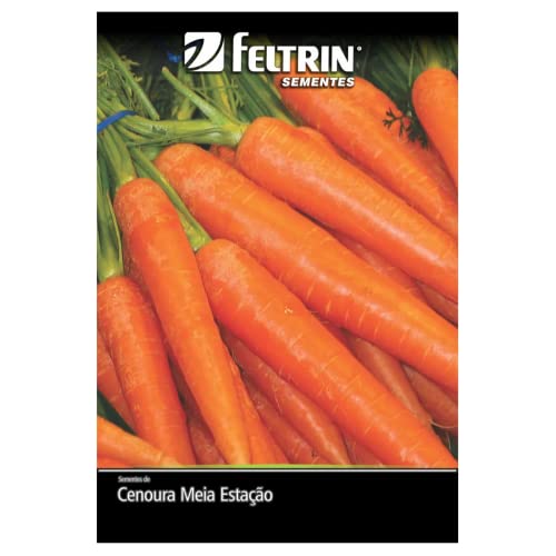 Kit 4 Sementes Legumes Horta Em Casa Jardins Vasos (Cenoura, Rabanete, Tomate, Abóbrinha)