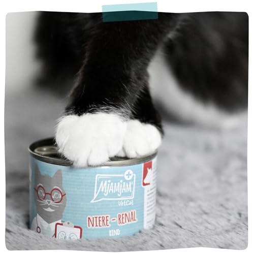 MjAMjAM VetCat - Premium Nassfutter für Katzen - Diät - Niere - Renal - Huhn, 6er Pack (6 x 200g), getreidefrei
