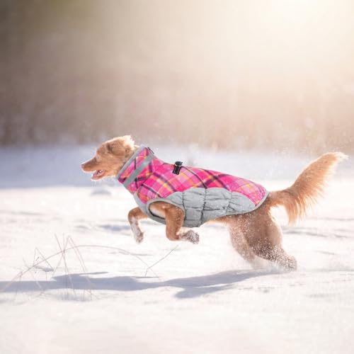 Image of Lelepet Dog Coat Warm Dog Winter Coat Waterproof Dogs Jacket with Harness