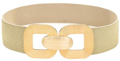 Wide Elastic Belts for Women Stretchy Cinch Waist Belt for Dresses