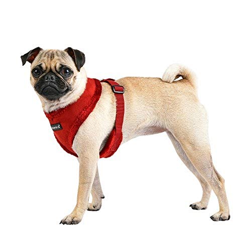 Puppia Hundegeschirr für kleine und mittelgroße Hunde - Terry Harness A - verstellbar und komfortabel Puppia Terry Harness A Braun M