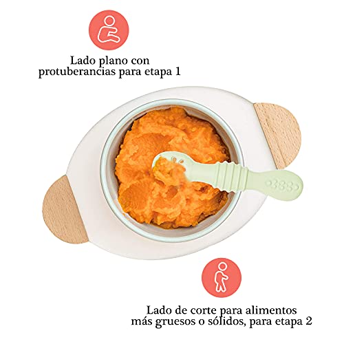 Accesorios De Alimentación, Kitchen cuchara papilla Marca Seviete (3)