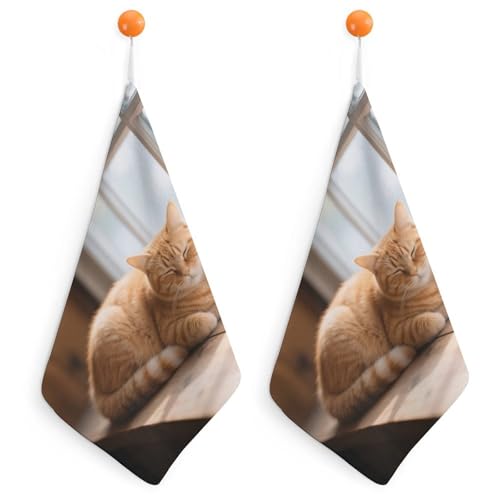 KOAYUBFC Juego de 2 toallas de microfibra con estampado de gato naranja de secado rápido que se pueden utilizar en hoteles, baños, duchas y spas