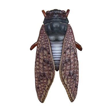 ホモと聴く 蝉 Semi 30分耐久 ニコニコ動画