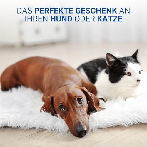 Katzenhöhle & Hundehöhle für kleine Hunde - bequemes Indoor & Outdoor Tipi Zelt aus Filz - Kuschelhöhle Katze & Hund - Katzenbett inkl. Kissen - Geschenkidee für Tiere, Farbe:grau/dunkelgrau
