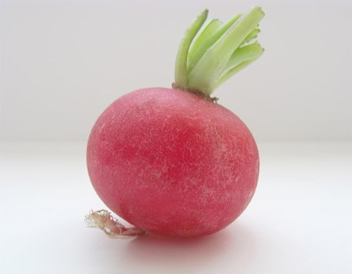 Raphanus Sativus Crimson Giant Radish, 2, 0 Seeds