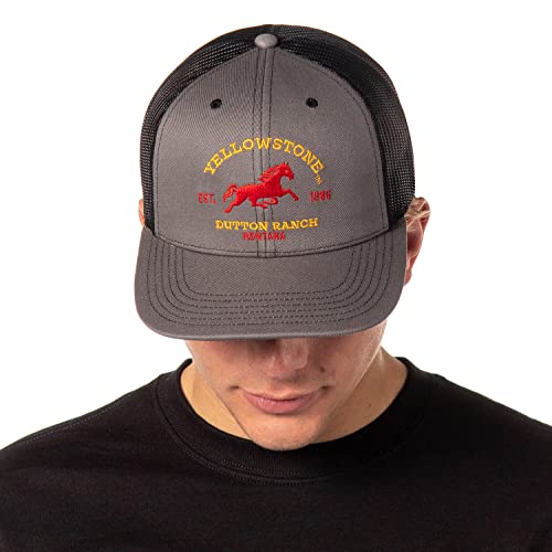 Boné ajustável Yellowstone adulto Dutton Ranch Montana EST. 1886 Boné OSFM cinza, Cinza, Tamanho �ni