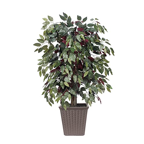 Vickerman Everyday 4' Artificial Capensia Bush in a Square Brown Plastic Basket - Lifelike Home Or Office Decor - Premium Faux Potted Plant - Maintenance Free Capensia Plant