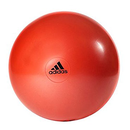 ADIDAS Palla da Palestra 65 cm