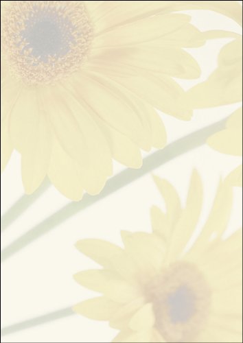 SIGEL DP465 Carta a tema / da lettera, Finesse