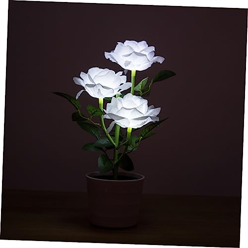 Mejores precios y opiniones de Decoracion Artificial luz solar los 10 mejores. 15 Imagen adicional