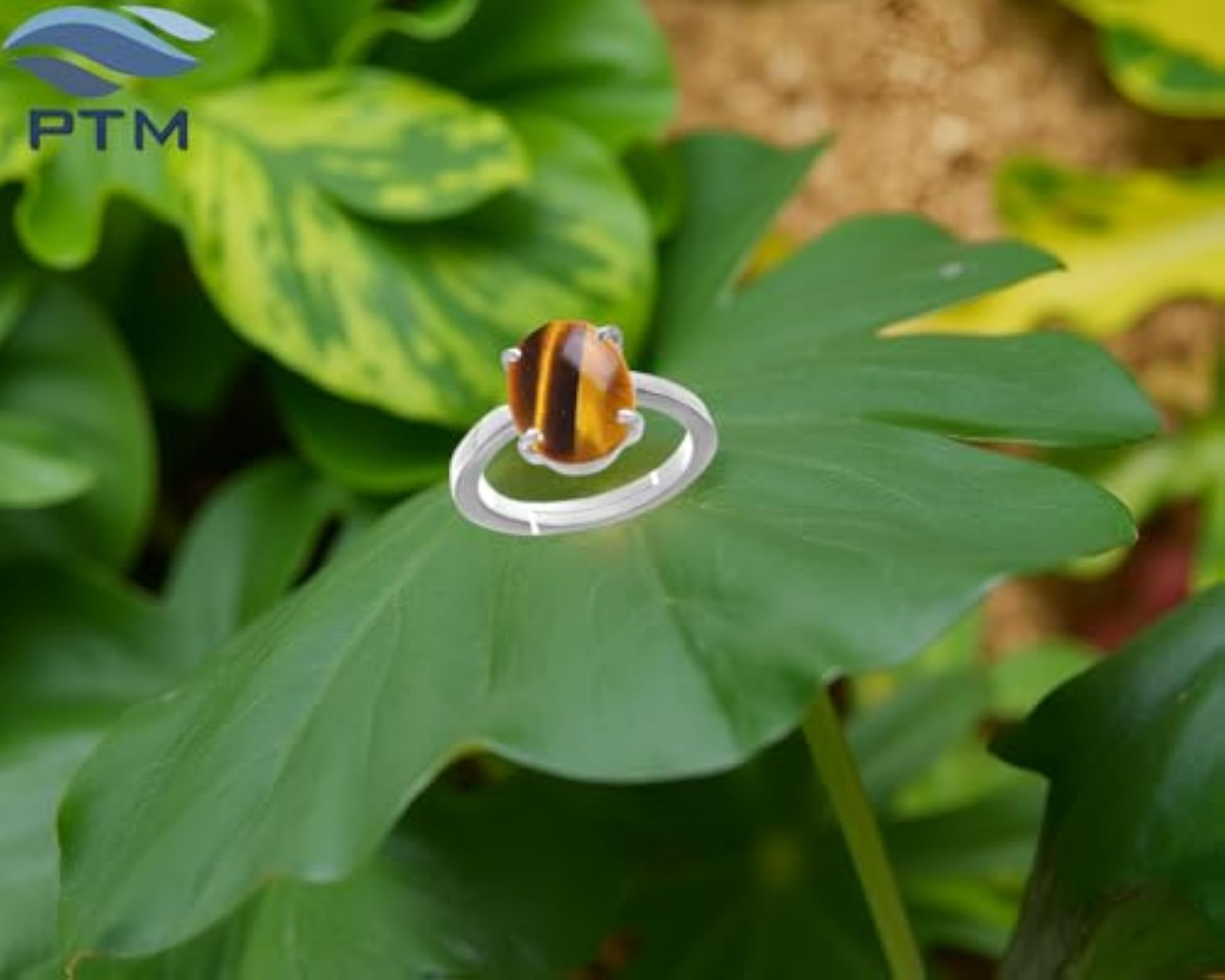 Women's Adjustable 925 Sterling Silver Tiger Eye Astrological Ring