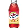 Snapple Fruit Punch (16oz, 1 Bottle, 473ml)