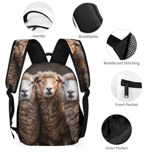 Three Sheeps 3 PCS Backpack Set Casual Daypack with Insulated Lunch Bag & Pencil Case3
