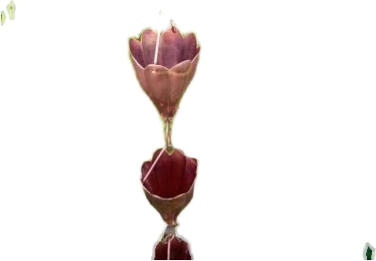 Rain Chains Rain Chain for Downspouts, Copper Eaves Chain Rain, Chain Rain Chains for Outside Gutter downspout Extension