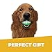 HAWWWY Funny Dog Teeth Ball for Dogs, Fun Pet Toy with Human Smile Design and Squeaker, Nontoxic for Puppy Small Medium Or Large Doggies Tooth Chew Toy, Squeaky Dog Ball Smiling Dog Ball