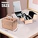 Joligrace Beauty Makeup Train Case for Lady Portable Cosmetic Box Jewelry Organizer Lockable with Keys and Mirror 2-Tier Trays Carrying with Handle Makeup Storage Box - Rose Gold