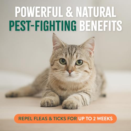 Image of TropiClean Flea and Tick Treatment Spray for Cats & Home, Safely Treat, Prevent & Control by Contact, Powerful & Natural Defense, USA Made, 32oz