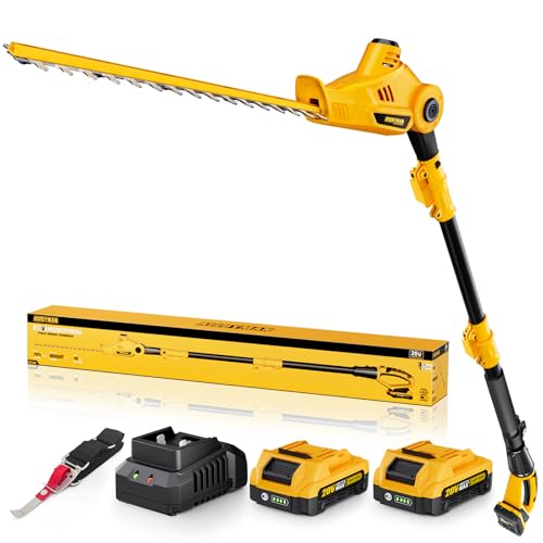 Taille-haie sans fil télescopique Alloyman 20 V avec 2 batteries 2,0 Ah et chargeur 2,4 m pour...