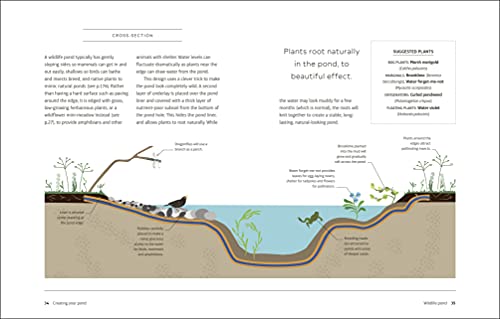 RHS How to Create a Wildlife Pond: Plan, Dig, and Enjoy a Natural Pond in Your Own Back Garden (DK: Royal Horticultural Society (RHS)) - Image 5