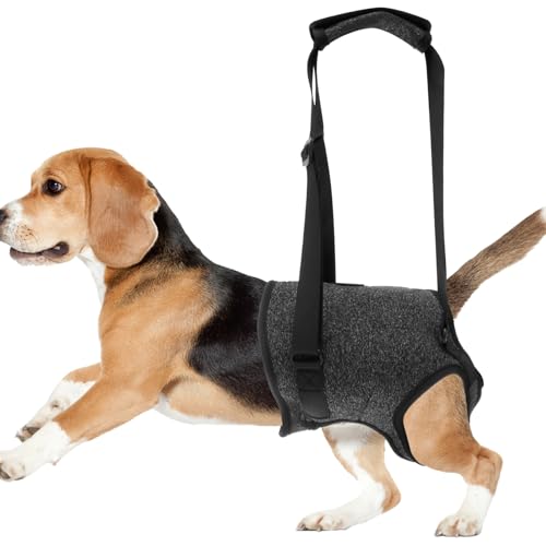 Fyeme Aide au Transport pour Chien - Patte arrière réglable - avec poignée Confortable et - pour blessure, Handicap, arthrite, Jambe de Chien - Aide à la rééducation (Taille M)