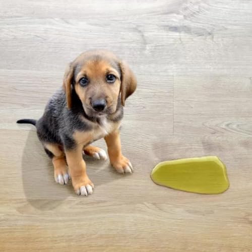 Tapete Higiênico Pet Ecológico – Kit 2 Rolos, 24mx60cm, Biodegradável, Econômico, Alta Absorção e Id