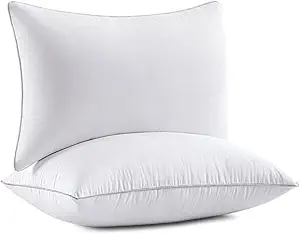 MIULEE 20x26 Pillow Inserts (Set of 2) -Decorative Throw Pillow with 100% Cotton Cover Rectangle for Sofa Couch