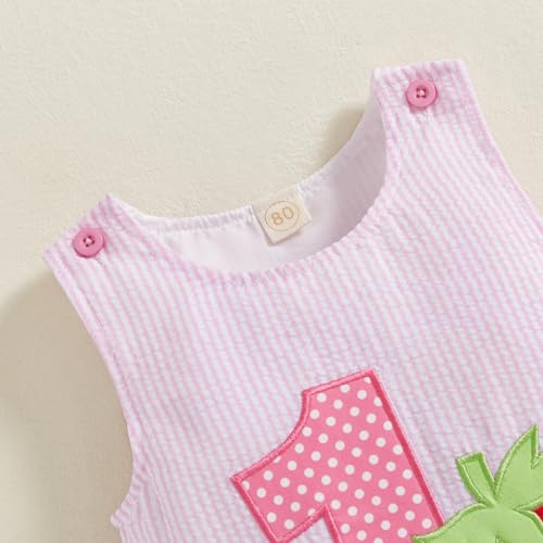 Baby Girl First Birthday Outfit Sweet One Embroidery Dresses One Year Old Birthday Dress Smash Cake Dress2