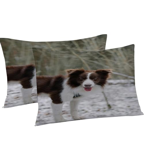 Housse de couette 200x200 microfibre douce fermeture éclair chien - 8