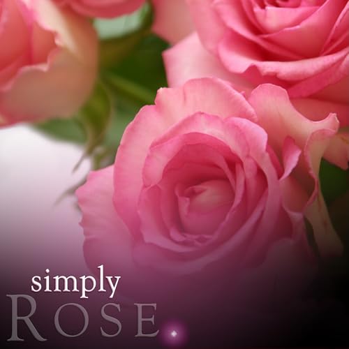 Recarga Difusor de Cañas Simply Rose 200 ml miniatura 4