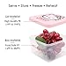 Finex Hello Kitty Rectangular Reusable Plastic Food Grade Safe Storage Container Box Set with Lids 4 Pieces Small Clear Boxes and 4 Pcs Pink Lid for Kitchen & Dining Meal Prep Snack Room Space Saving