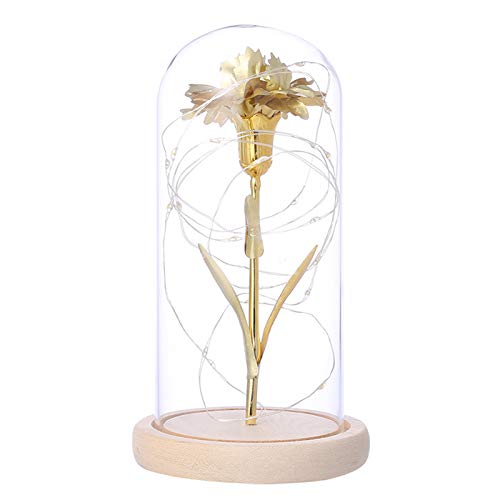 Funien Flor De Clavel De Hoja De Oro, Lámina De Oro Clavel Flor Cadena Luz Cubierta De Vidrio Luz De Noche Romántica Decoración Del Hogar