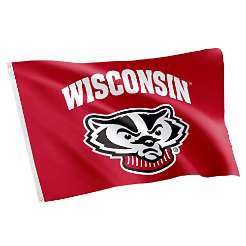 Desert Cactus University of Wisconsin UW Flag - 3 x 5 Feet Badgers Banner Indoor/Outdoor Durable Fabric 100% Polyester Design (Style 6)
