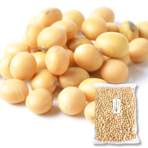 哤 嗱 ^}tN 900g ߘa6NY kC Y ܂ӂ哤 klsY `bNt