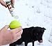 DogBone Antler Scent for Training Your Shed Hunting Dog | Dog Training Kit | Hunting Dog Accessories | Dog Training Tools | Dog Scent Training Kit | Scent Training for Dogs | Hunting Dog Toys