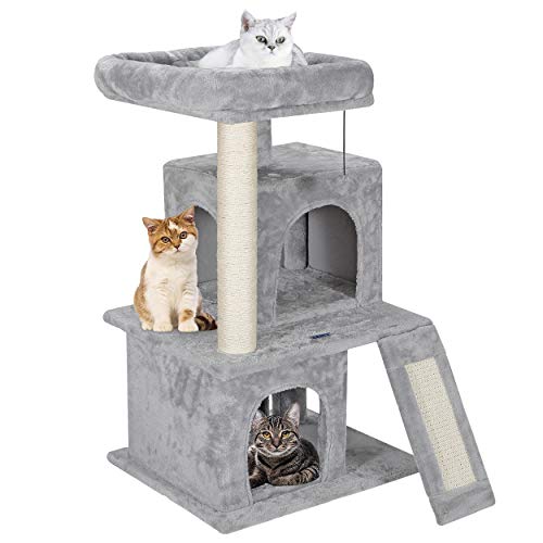 6 Best Cat Trees For Older Cats (Reviews & Buyer's Guide)