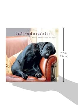 住まい+暮らし+子育て Labrador Retriever - Labrador Retriever HI-LINE GIFT LTD. Yellow Labrador Retriever Sitting 87985-YL