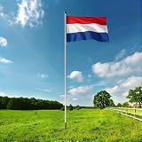 Mât de drapeau en aluminium   6,50 m   Pays Bas