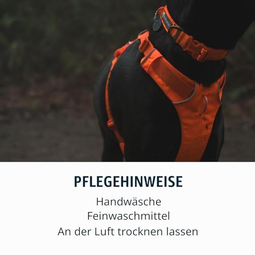 Ruffwear Front Range-Halsband, Hundehalsband mit V-Ring, längenverstellbares Haustier-Hundehalsband, bequemer weicher Stoff, Haustierhalsband mit Hundeleinen-Befestigungsring, Blaze Orange