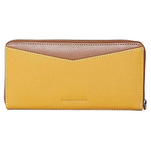 Fastrack Women's Leather Wallet (Brown)